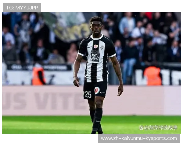 法甲最受欢迎球衣品牌排行榜及球迷评价